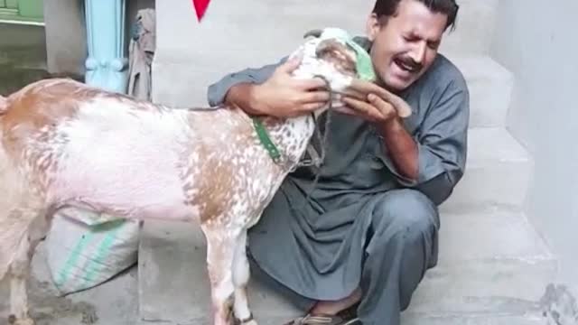 Funny video