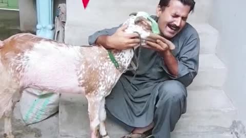 Funny video