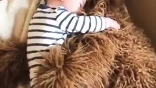 Dogs - Baby dogs - funny and fluffy (60) / Cães - Filhotes - engraçados e fofos (60) #shorts