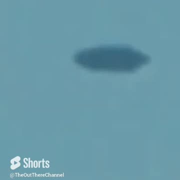 Birds can look like flying tic tac - frame by frame can see subtle wing shape changes gliding