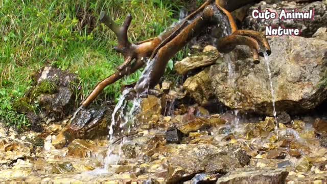 Nature waterfall Relaxing Water Sound 4k video Like And Share Video