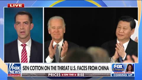 Sen. Tom Cotton: The problem here is Joe Biden