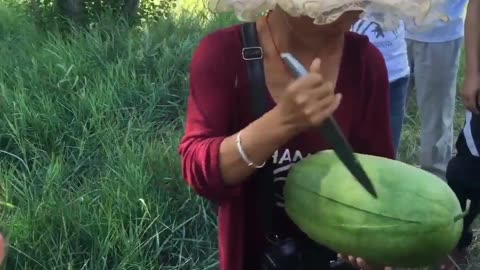 Melone richtiger Zuschnitt