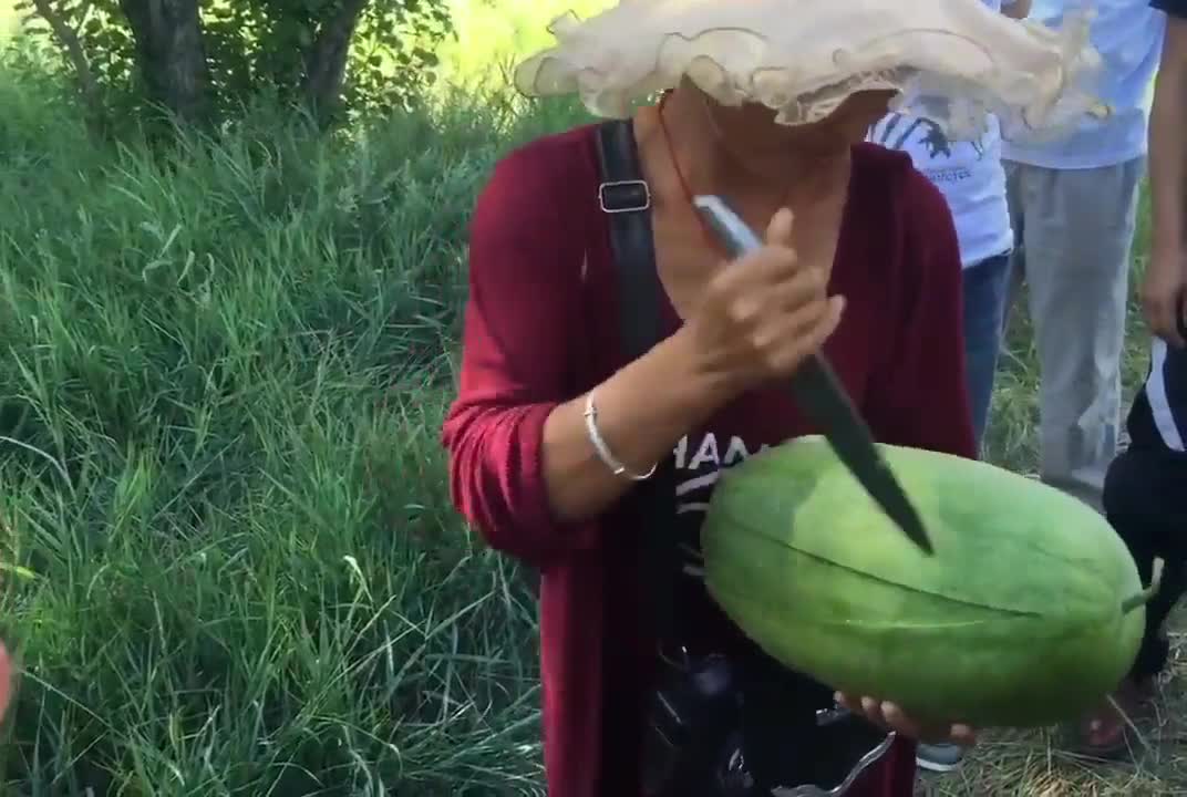 Melone richtiger Zuschnitt