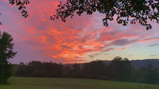 Beautiful way to start the morning, gorgeous sunrise and playing pup