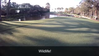 Hilton Head Island October 2016