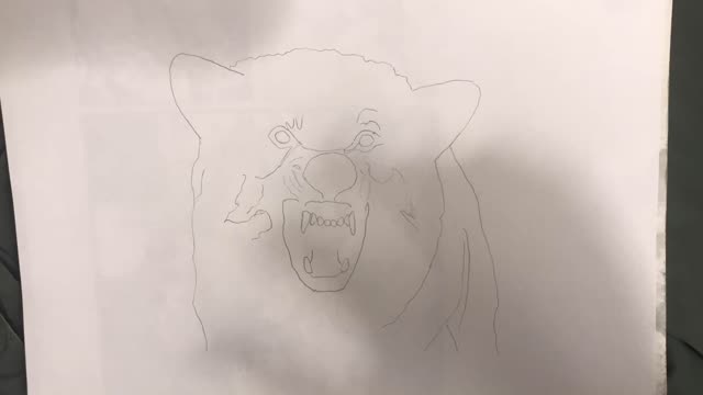 Wolf Drawing Time-Lapse