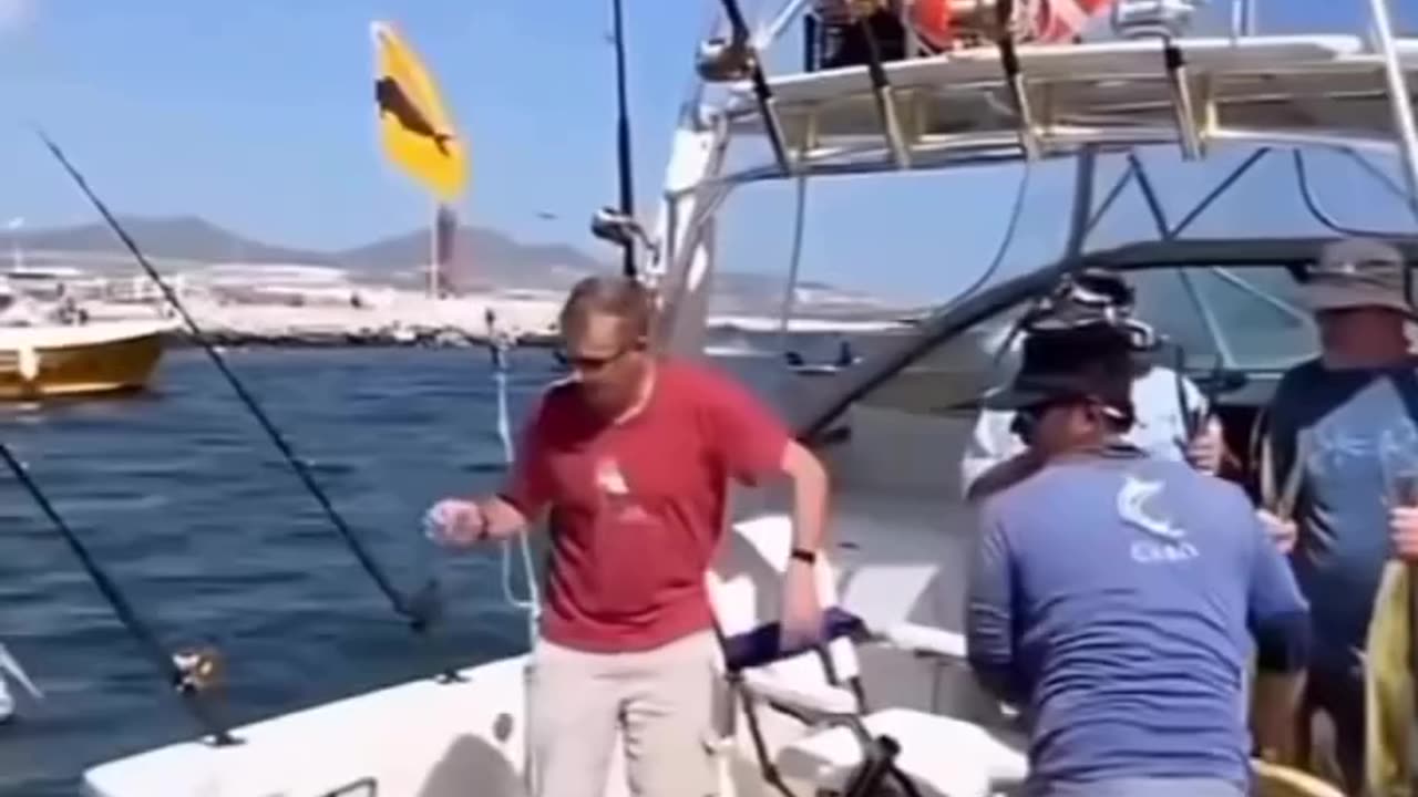 😂😂funny animal videos😂😂