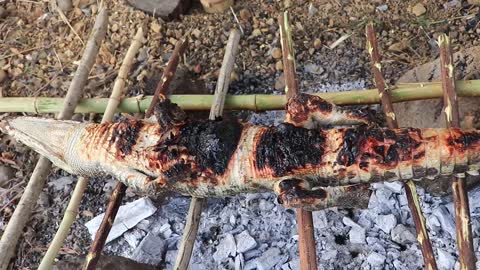 woman make home & cook crocodile for dog