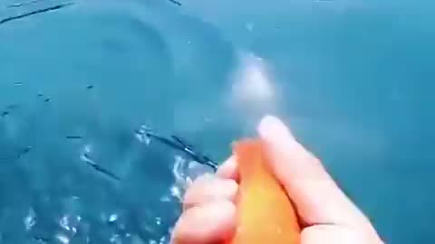 What is trust ...