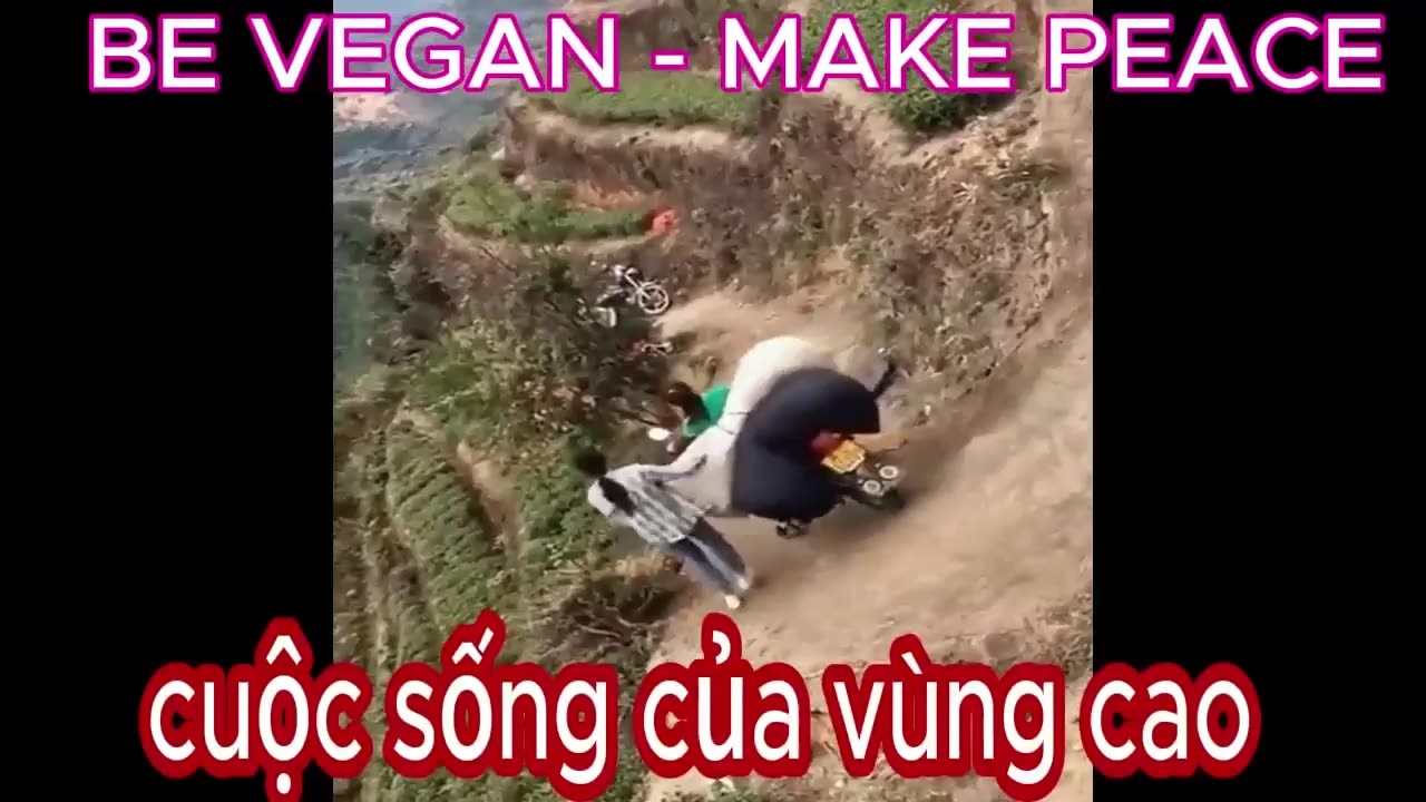 dangerous roads viral