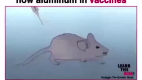 Aluminium In Vaccines