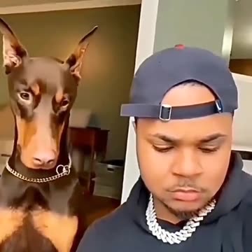 tente nao rir duvidoso