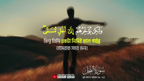 সূরা নাহল - আয়াত (৫৮ -৬১) তিলাওয়াত । Surah An Nahl (58-61) By Shamsul Haque - Sikhun Surah