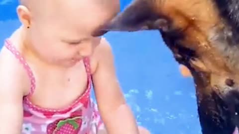 Small baby and his dog playing with water