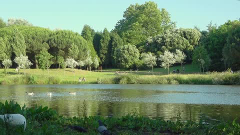 a place of rest, rest in the middle of nature