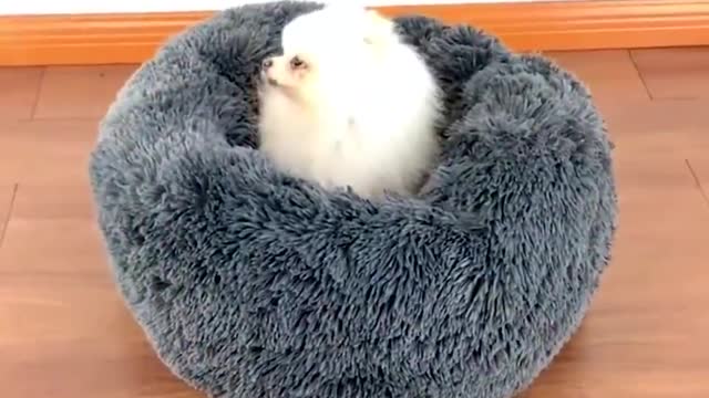 Comfortable Pet Nest Bed