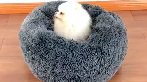 Comfortable Pet Nest Bed