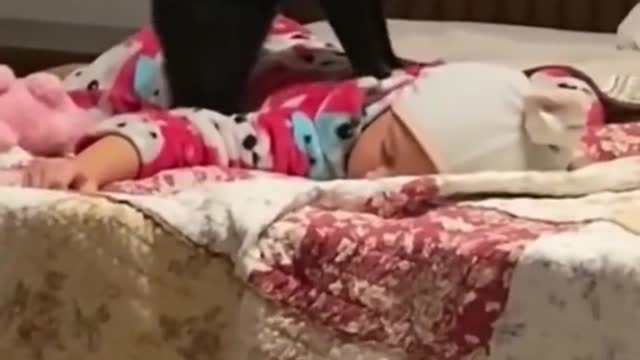 Giga cat massaging sleeping baby