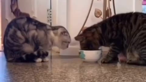 It’s always polite to share