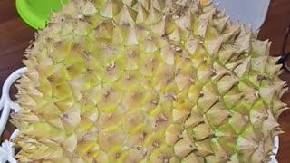 Durian, Anyone?