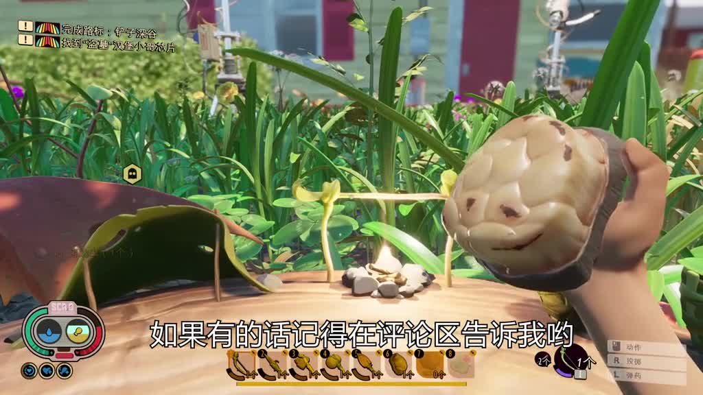 Confinement Survival 07: Ants vs Weevils, who will win #confidencesurvival #groundsurvival