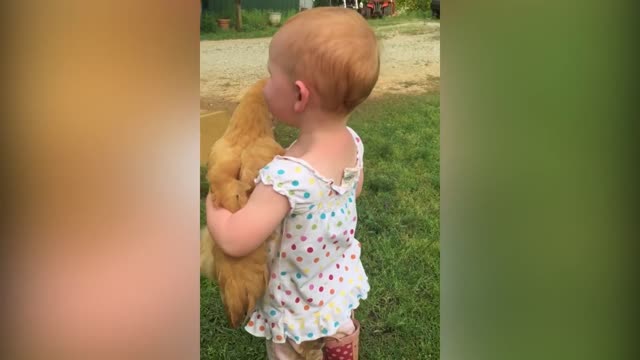 Funny Baby Play With Chicken see The Reaction