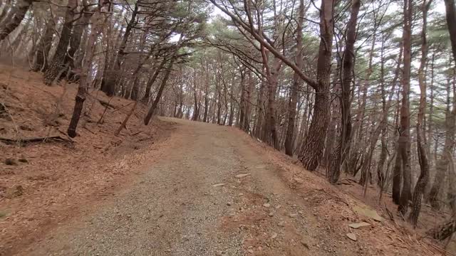 walk along a mountain path