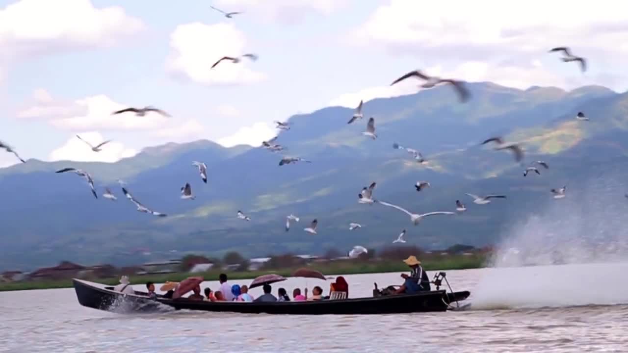 Beautiful landscape, birds and people travel by boat