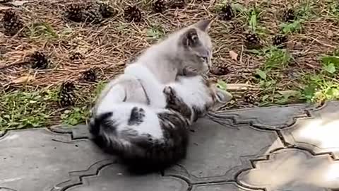 Love each other