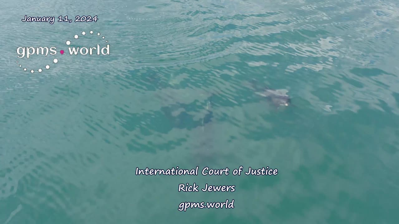 International Court of Justice