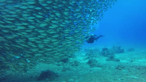 under the Ocean