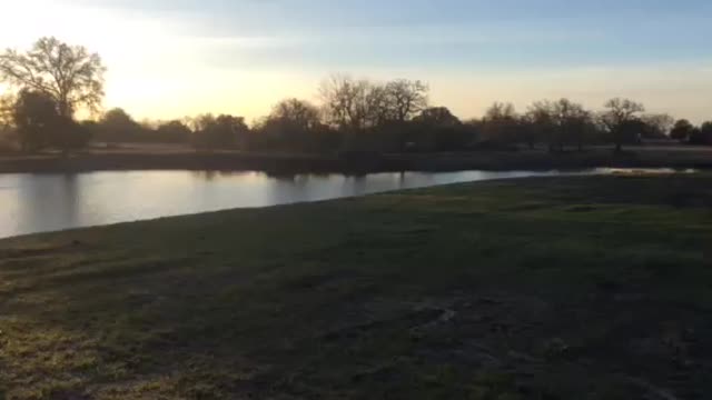 Finished POND Gettings Texas
