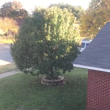 Teen Boy in Reindeer Hat Jumps Off Of Roof Into A Tree