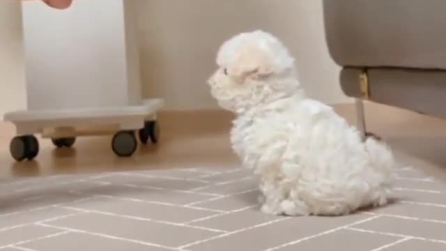 Cute high five