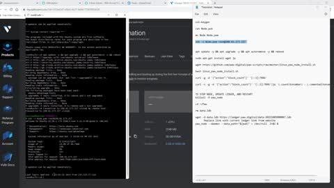 Beginner Guide to setting up a PAW Node