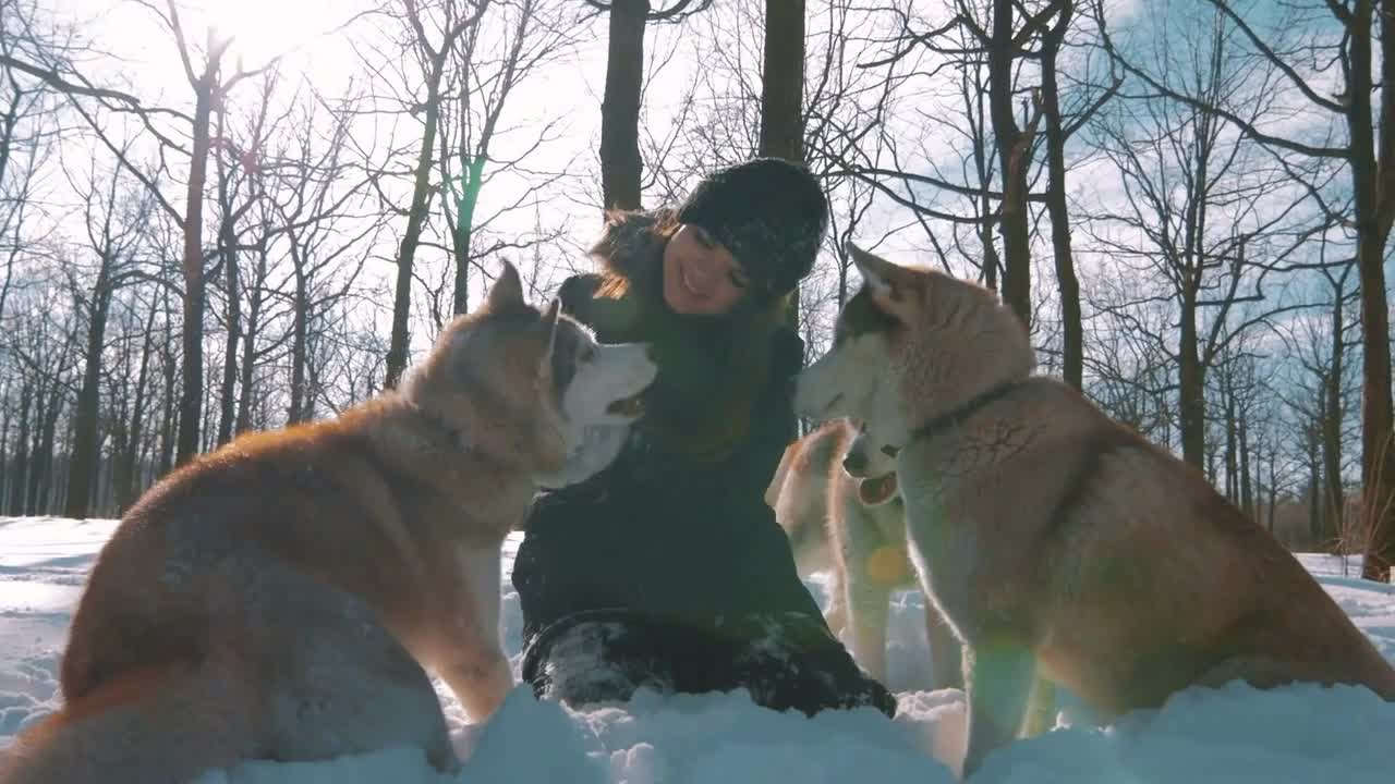 Young woman sitting and patting siberian husky dogs in snow forest, slow motion