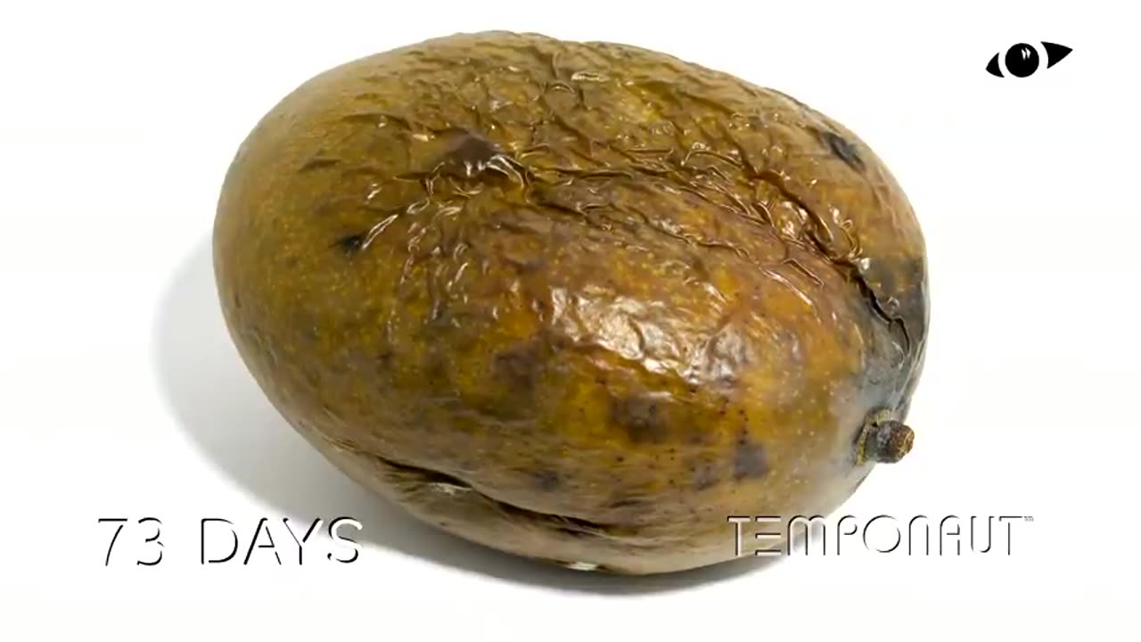 Mango Time-lapse