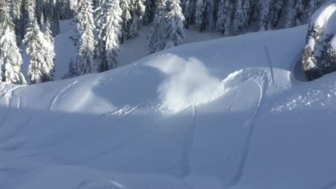 Vantage Point of an Avalanche