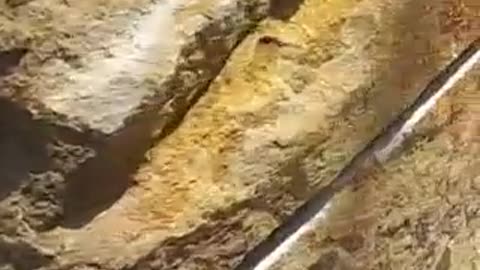Art of birth