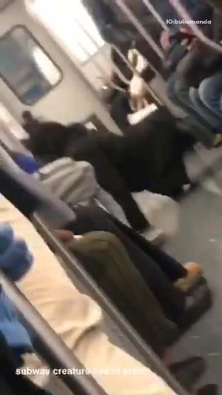 Person with black coat push ups on train floor
