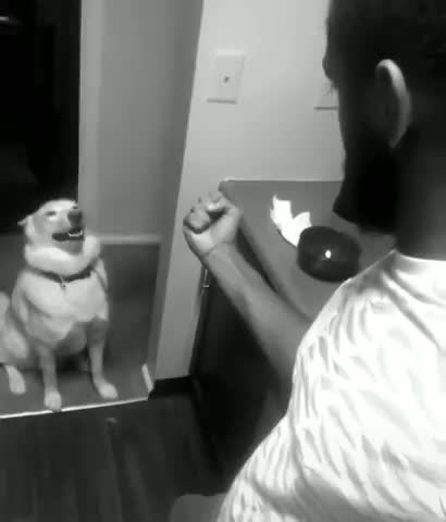 you dare speak to me in that tone of voice l