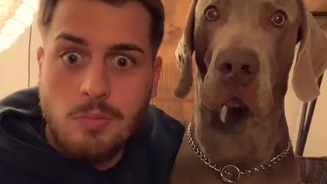 Funny dog love!