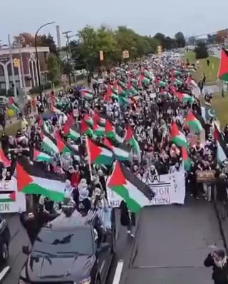 Dearborn in Michigan Has the largest mosque in North America. from the river to the sea