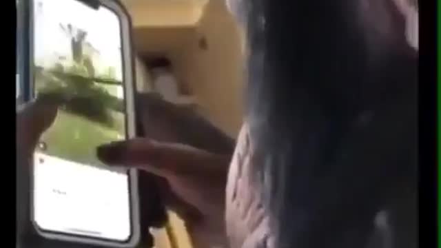The monkey is very in tune with Instagram๐๐๐๐