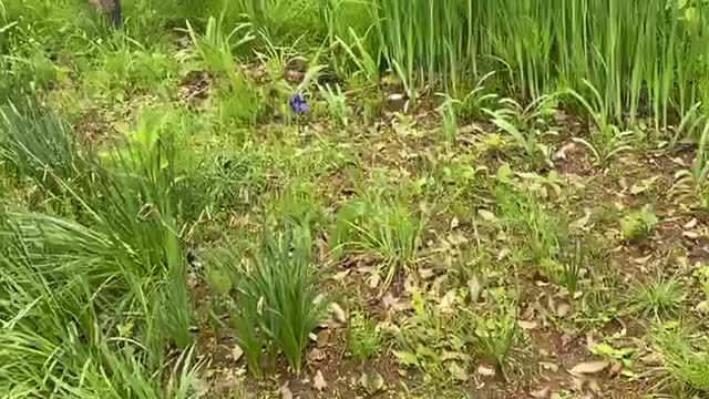 2022-5-14 Joumon Museum