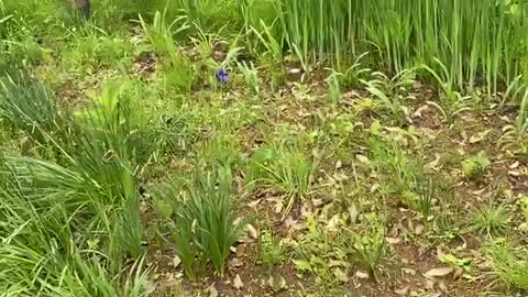 2022-5-14 Joumon Museum