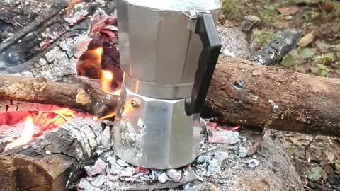 Café no mato
