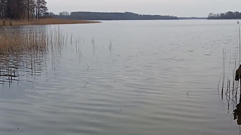 Schaalsee in Schleswig Holstein zur Grenze Mecklenburg Vorpommern