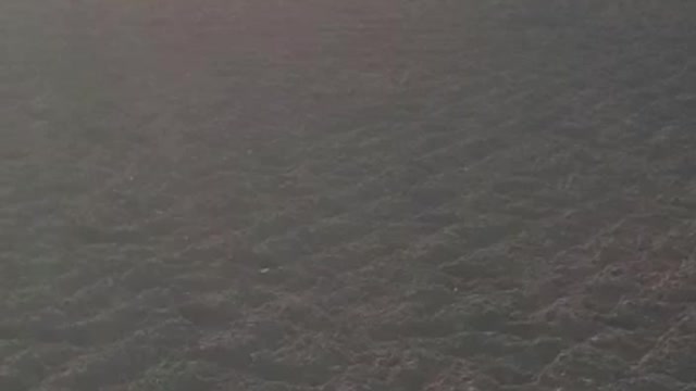 Horse bucks and kicks during ground work